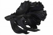 Deko Fisch Crowntail 60cm schwarz/ 43178 